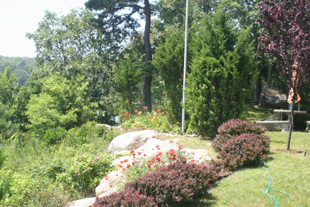2011-07-22 004