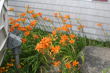 2011-07-23 001
