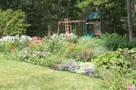 2011-07-23 005