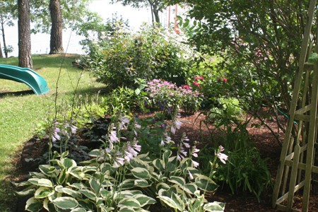 2011-07-23 006